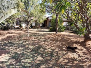 8.5 ha Smallholding in Bultfontein