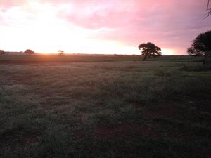 4 Bed House in Kimberley