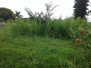 1230 m² Land available in Hillary