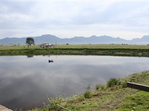 15 ha Farm in George Central