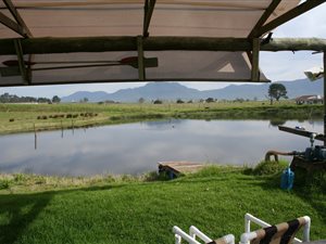 15 ha Farm in George Central