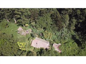 14.9 ha Farm in Montrose