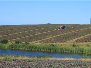 329.2 ha Farm in East London Rural