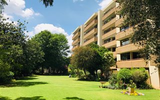 3 Bedroom Apartment in Melrose