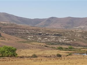 630.6 ha Farm in Fouriesburg