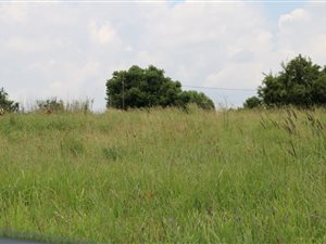 2552 m² Land available in Daleside