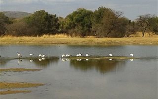 751 ha Farm in Naboomspruit