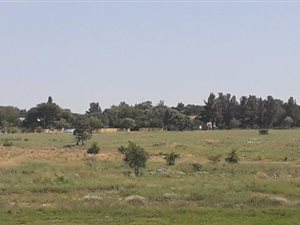 1.4 ha Land available in Glen Austin