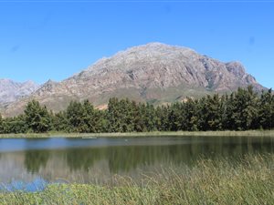 34 ha Farm in Wolseley