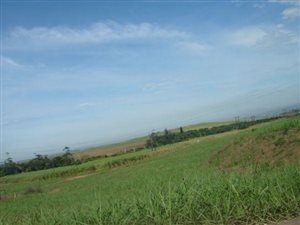114 ha Land available in Tongaat Central
