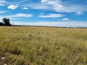 8.6 ha Farm in Evaton
