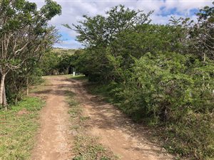 1218 m² Land available in Bathurst and Surrounds