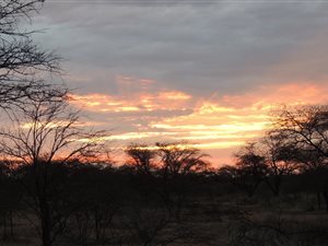 997.3 ha Farm in Lephalale (Ellisras)