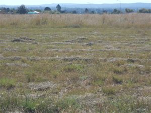 700 m² Land available in Riversdale