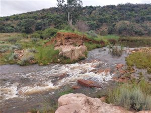 88.8 ha Farm in Vaalwater