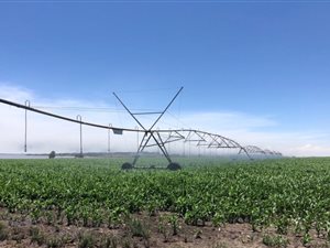 812 ha Farm in Frankfort