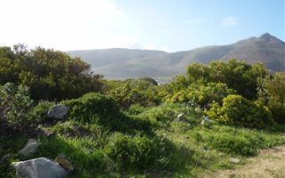 1784 m² Land available in Hawston