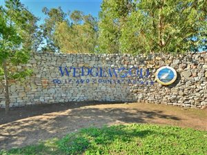 600 m² Land available in Wedgewood Golf Estate