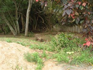 1318 m² Land available in Hibberdene