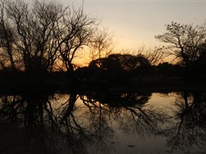 200 ha Farm in Klerksdorp
