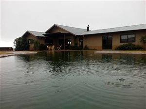 4.3 ha Farm in Peacevale