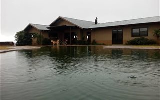 4.3 ha Farm in Peacevale
