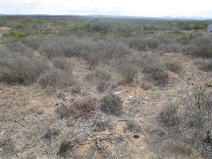 732 m² Land available in Gouritsmond