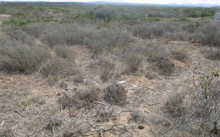 732 m² Land available in Gouritsmond
