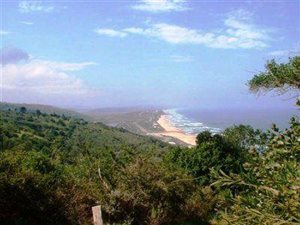 2.8 ha Land available in Wilderness