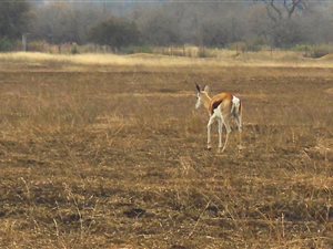 1000 m² Land available in Waterlake Farm