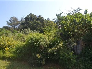 1655 m² Land available in Woodgrange