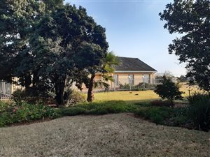 10 ha Farm in Knopjeslaagte