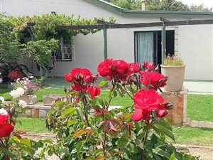 4 Bed House in Nieuwoudtville
