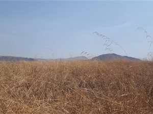 875 m² Land available in Dullstroom