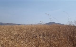 875 m² Land available in Dullstroom
