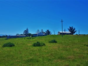 118 ha Farm in George Rural