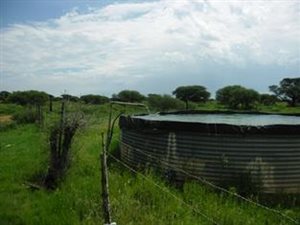 428.3 ha Farm in Boshof