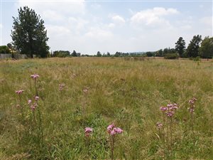 1.9 ha Land available in Farmall