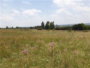 1.9 ha Land available in Farmall