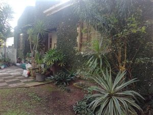 3 Bed House in Yellowwood Park