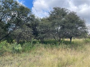 8573 m² Land available in Irene Glen Estate