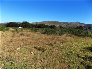 1338 m² Land available in Fisherhaven