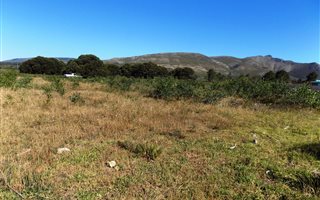 1338 m² Land available in Fisherhaven
