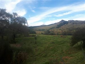 32 ha Smallholding in Kokstad