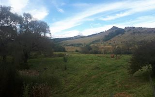 32 ha Smallholding in Kokstad