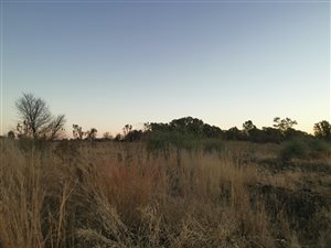 1806 m² Land available in Neserhof