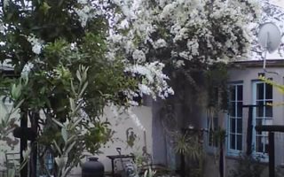 1 Bedroom Garden Cottage in Musina
