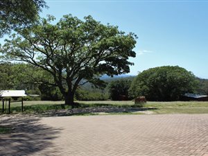 32.6 ha Farm in Uitenhage Central