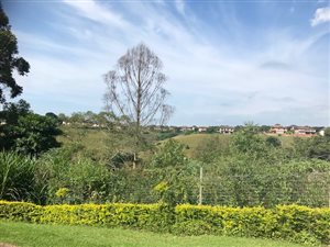 1962 m² Land available in Hillcrest Central