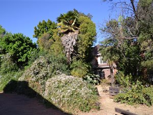 3 Bed Duplex in Ashlea Gardens